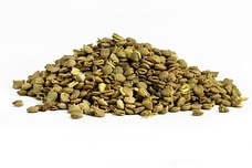 Organic Sprouted Green Lentils