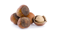 Link to Hazelnuts (Filberts)