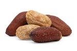 Image 1 - Organic Dry Roasted Peanuts (Salted, No Shell) photo