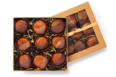 Chocolate Dipped Apricot Collection