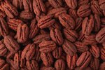 Image 4 - Cocoa Chili Pecans photo