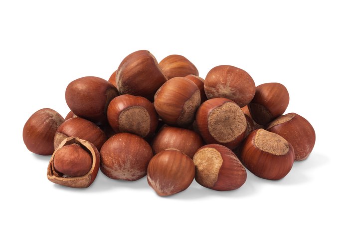 Hazelnuts / Filberts (In Shell) photo