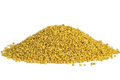 Organic Sprouted Millet