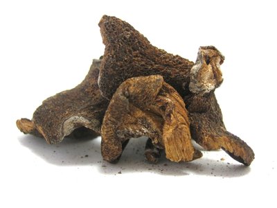 Dried Porcini Mushrooms