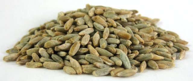 Organic Rye Berries photo