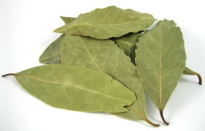 Bay Leaves (Laurel Leaves)