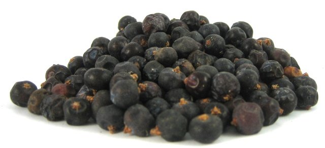 Juniper Berries photo