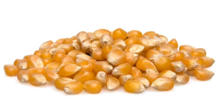 Popcorn Kernels photo