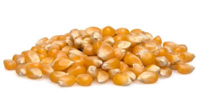 Popcorn Kernels