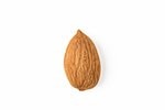 Image 2 - Organic Wild Apricot Kernels (Sweet) photo