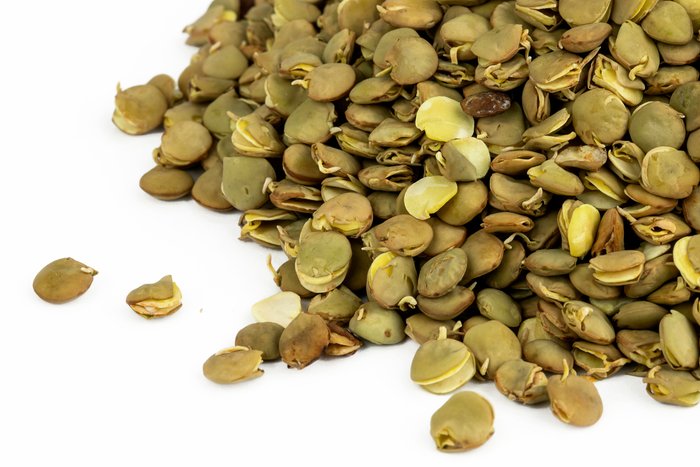 Organic Sprouted Green Lentils photo