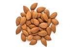 Image 3 - Organic Wild Apricot Kernels (Sweet) photo