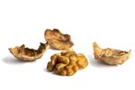 Image 2 - English Walnuts (In Shell) photo