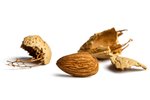 Image 2 - Raw Almonds (In Shell) photo