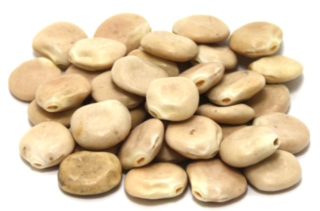 Lupini Beans photo